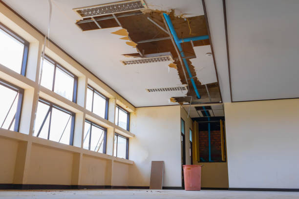 Best Water damage restoration process  in Warrenvle, IL