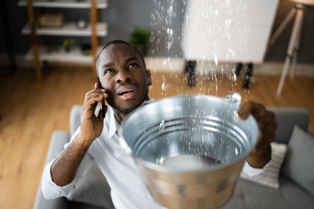 Best Water damage contractors near me  in Warrenvle, IL