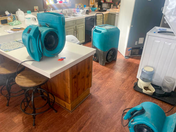 Best Local water damage restoration  in Warrenvle, IL