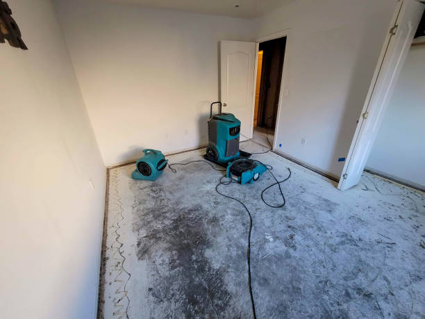Best Commercial water damage restoration  in Warrenvle, IL