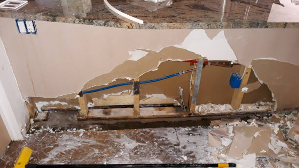 Best Carpet water damage restoration  in Warrenvle, IL