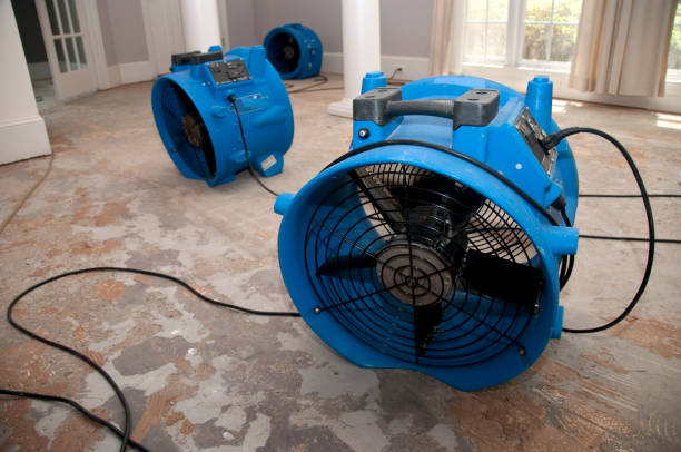Best Ceiling water damage repair  in Warrenvle, IL