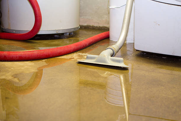 Best Professional water damage repair  in Warrenvle, IL