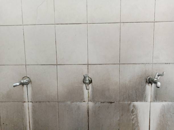 Best Flood damage cleanup  in Warrenvle, IL