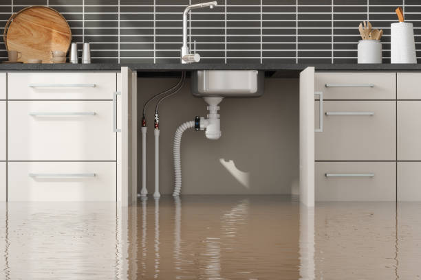Best Water damage mitigation services  in Warrenvle, IL